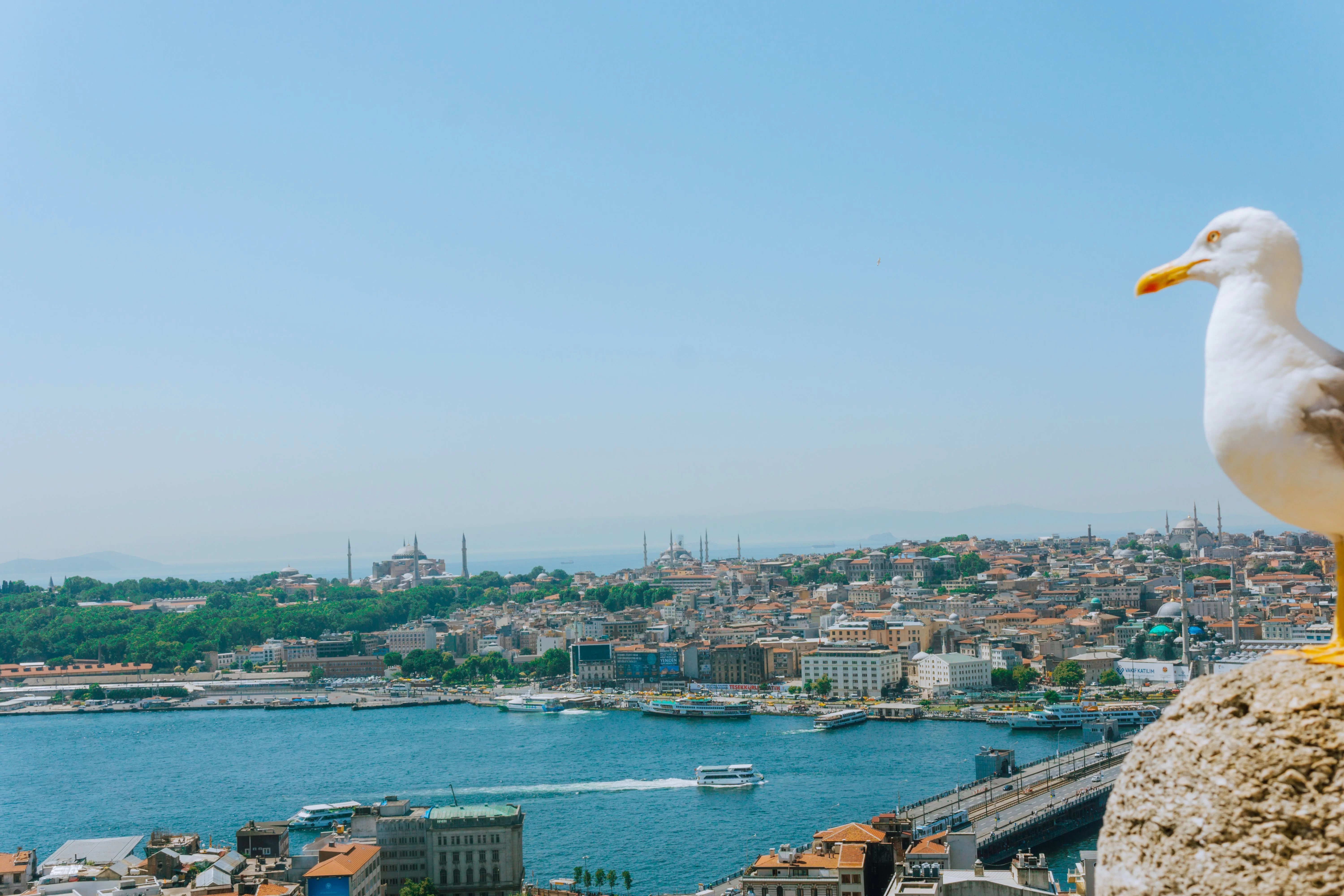 Real Estate in Istanbul