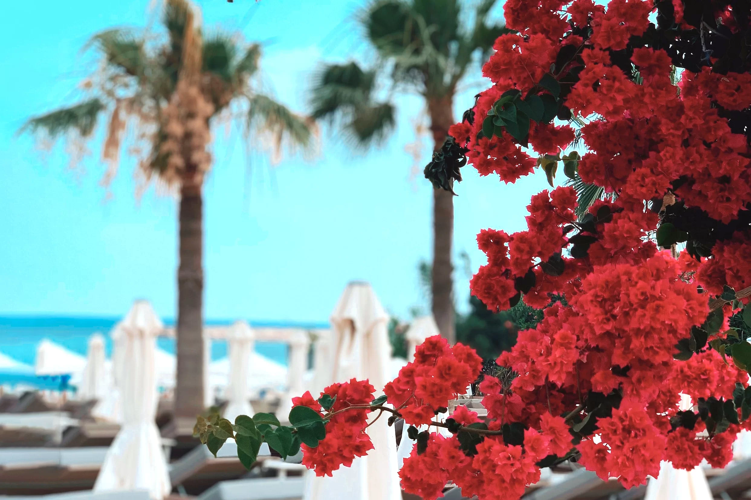 Why to buy real estate in Northern Cyprus
