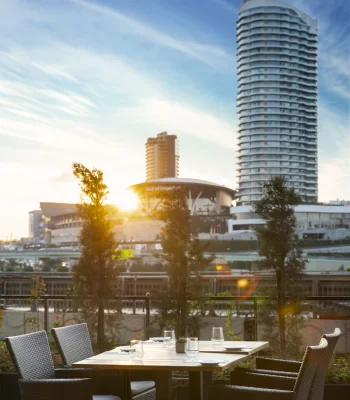 Apartments For Sale in Istanbul Offer Dollar Guaranteed Rental Opportunities