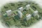 Invest In Luxury In Istanbul! Don't Miss Out On Centrally Located Apartments!